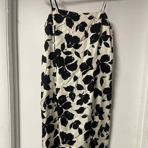 Ann Taylor 100% silk dress